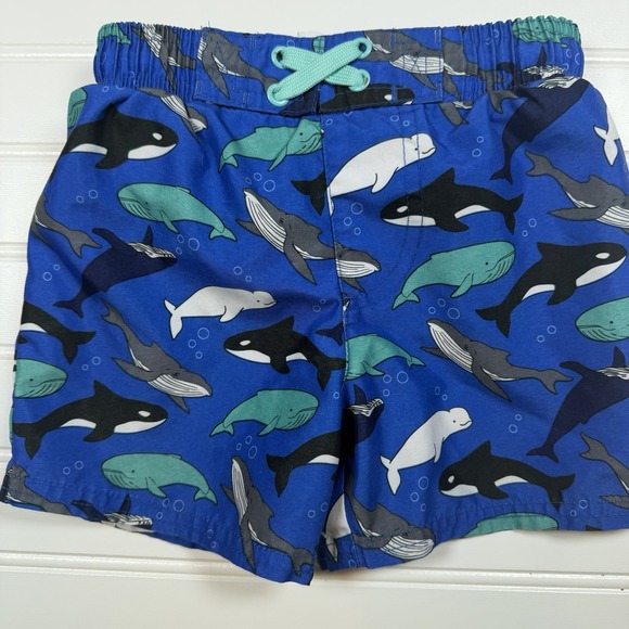 Lot Of 2T Boys Swimsuits And Shirts Body Glove Old Navy Circo Cat Multicolor - Picture 4 of 10